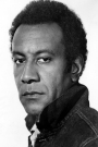 Raymond St. Jacques Film ve Dizileri