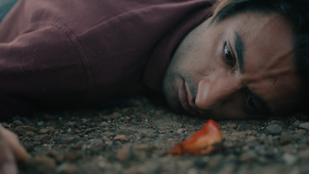 Karganın Uykusu izle